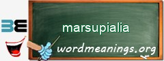 WordMeaning blackboard for marsupialia